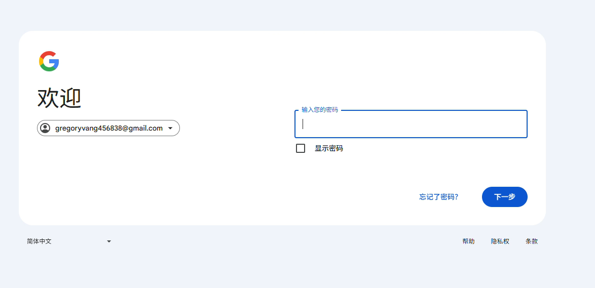 输入 Gmail 密码